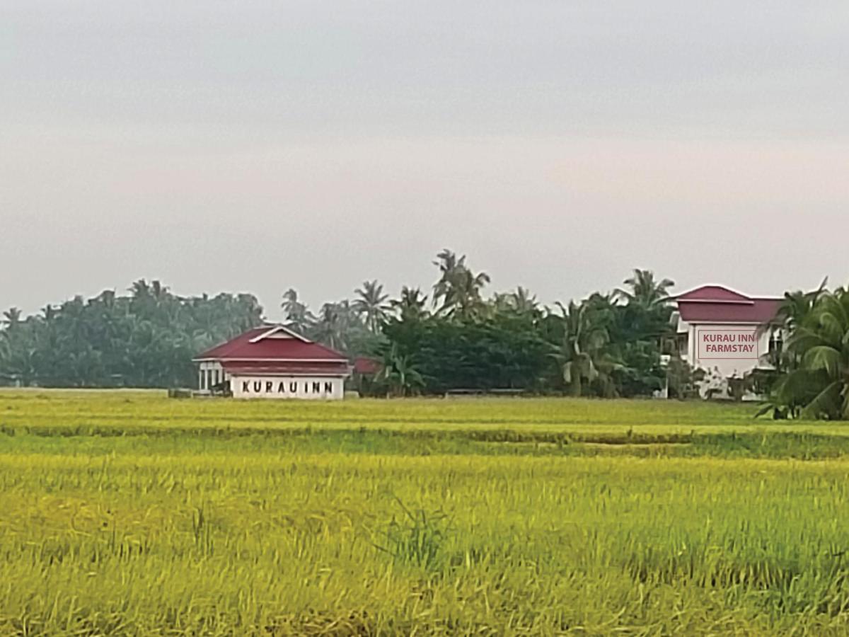 Kurau Inn Farmstay Kuala Kurau Eksteriør bilde